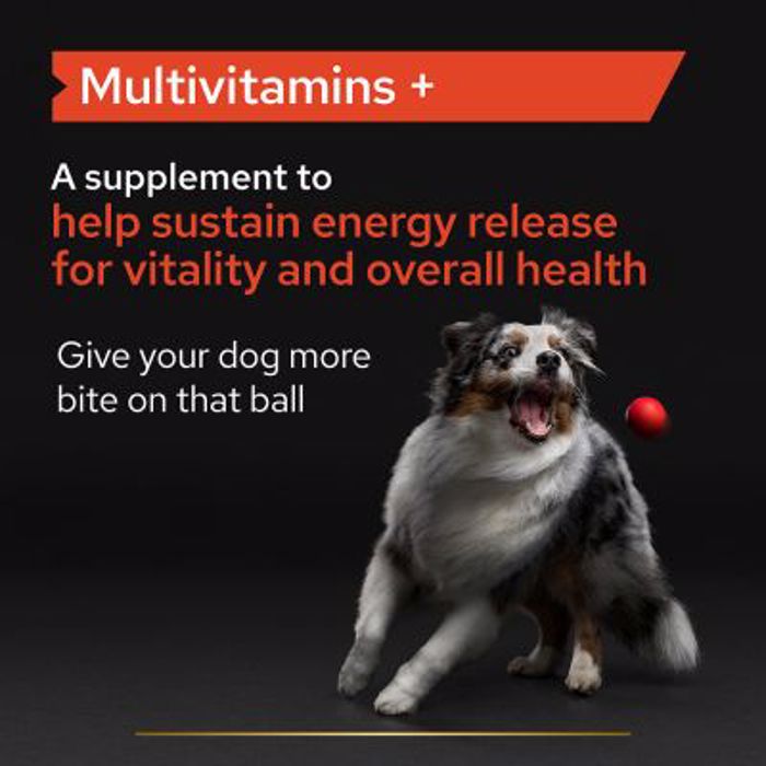 PRO PLAN Sumpliroma Diatrofis Dog Adult Multivitamin Supplement 90Diskia